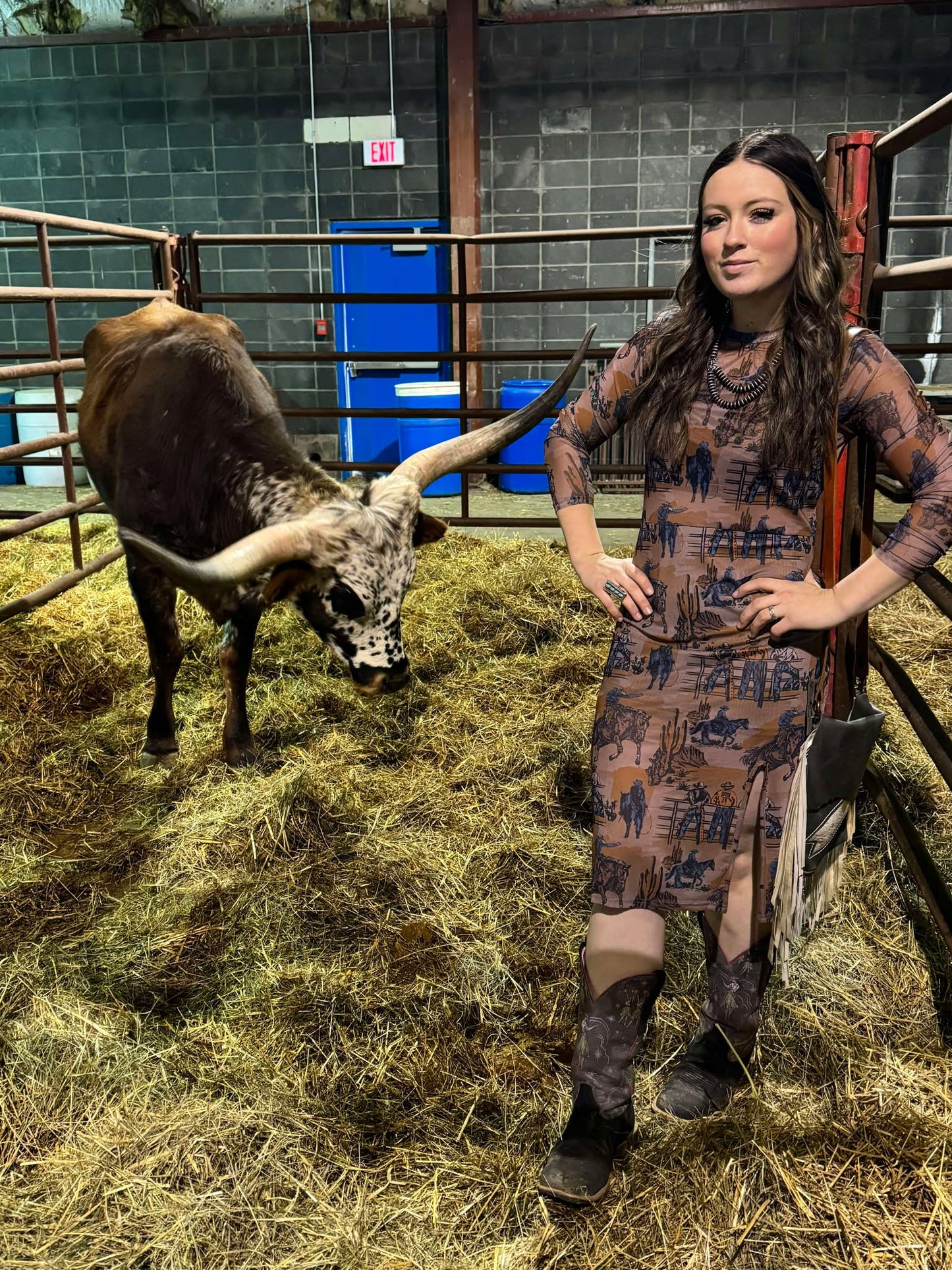 Cowboy Mesh Dress