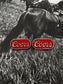 Small Coors Design