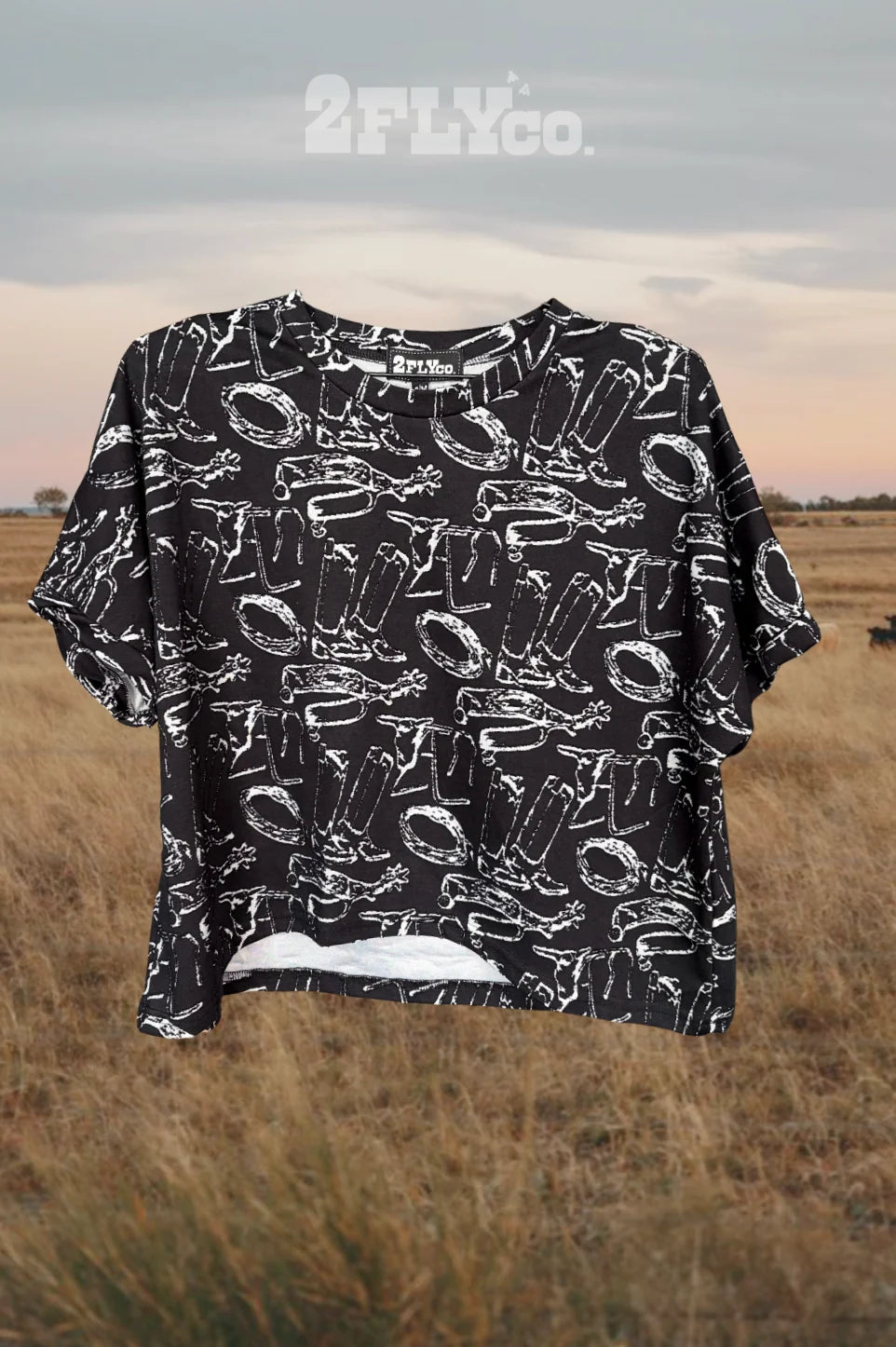 COWBOY CONSTELLATIONS